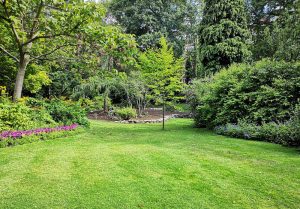 Optimiser l'expérience du jardin à Canenx-et-Reaut